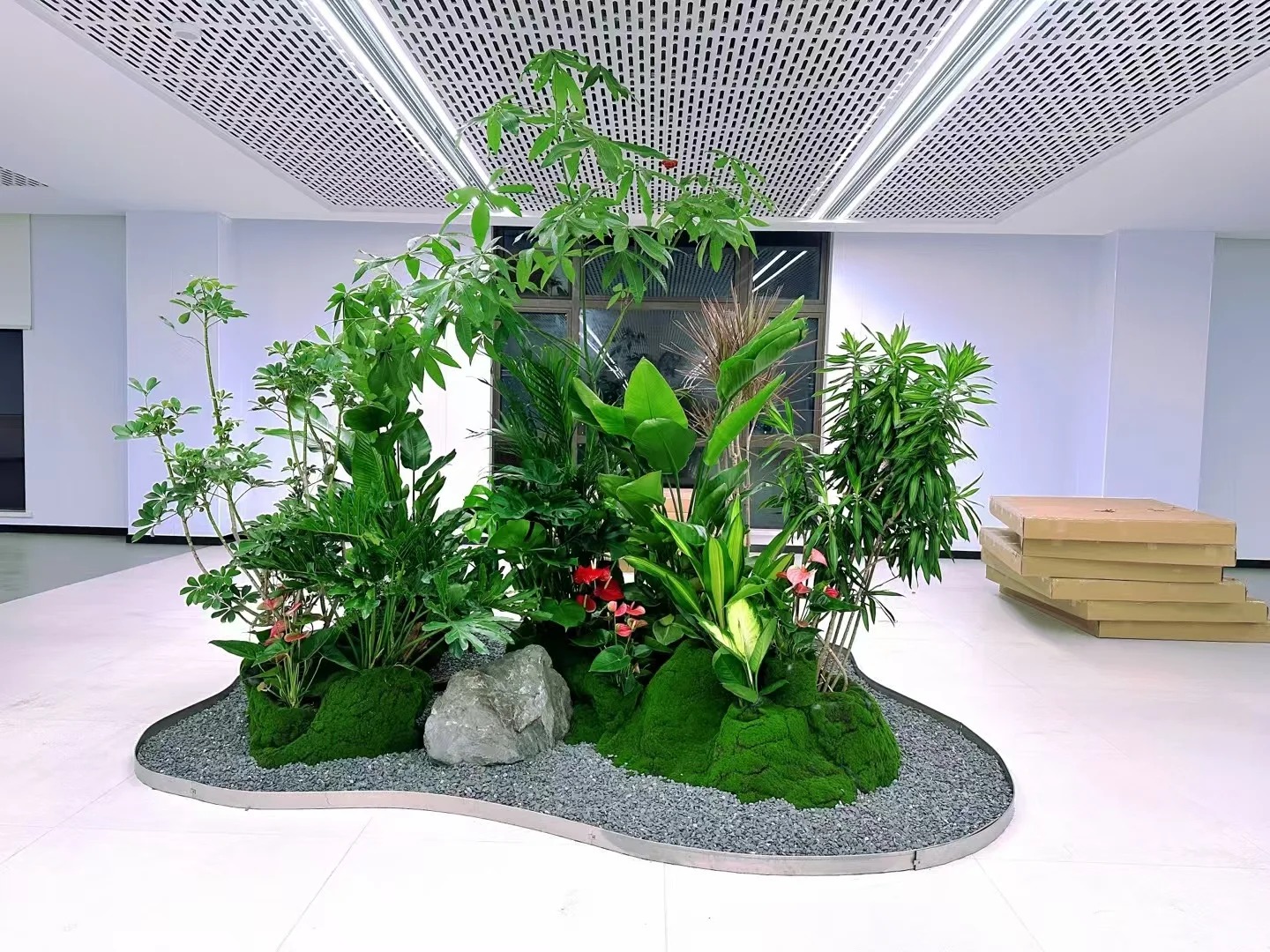 专业绿植租摆服务,宁波镇海的绿色贴心之选